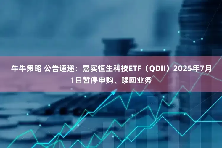 牛牛策略 公告速递：嘉实恒生科技ETF（QDII）2025年7月1日暂停申购、赎回业务