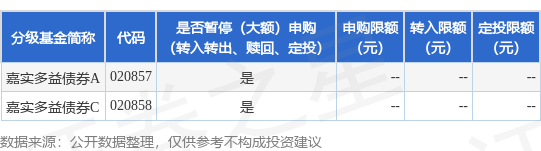 新影宝 公告速递：嘉实多益债券2025年7月1日暂停申购、赎回、转换及定期定额投资业务