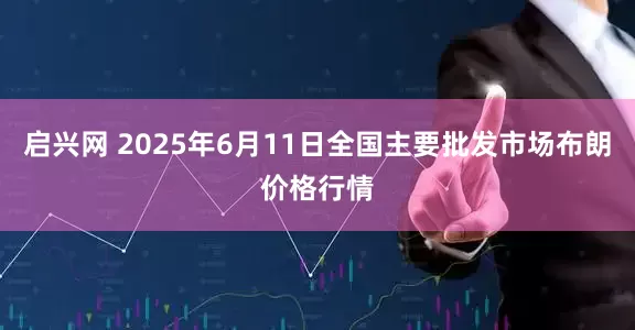 启兴网 2025年6月11日全国主要批发市场布朗价格行情