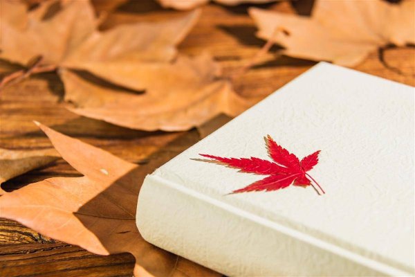 牛点策略 ​东湖快语｜“捡秋”别“薅秋”