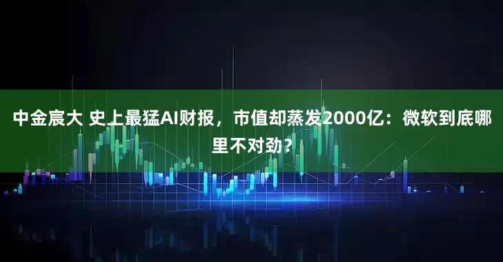 中金宸大 史上最猛AI财报,市值却蒸发2000亿:微软到底哪里不对劲?